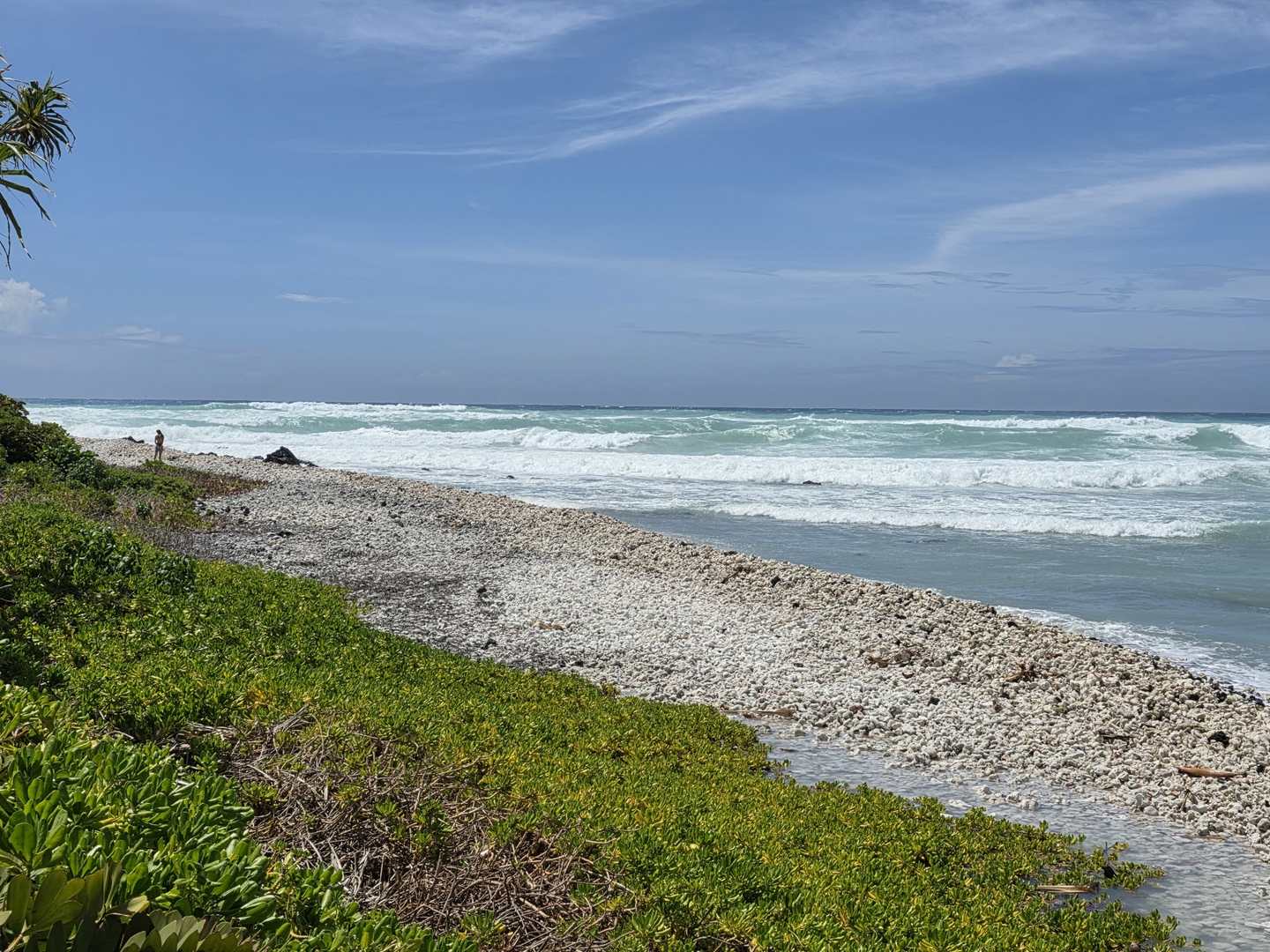 Coral rubble berm along the South Kohala shoreline with the vegetation line behind it