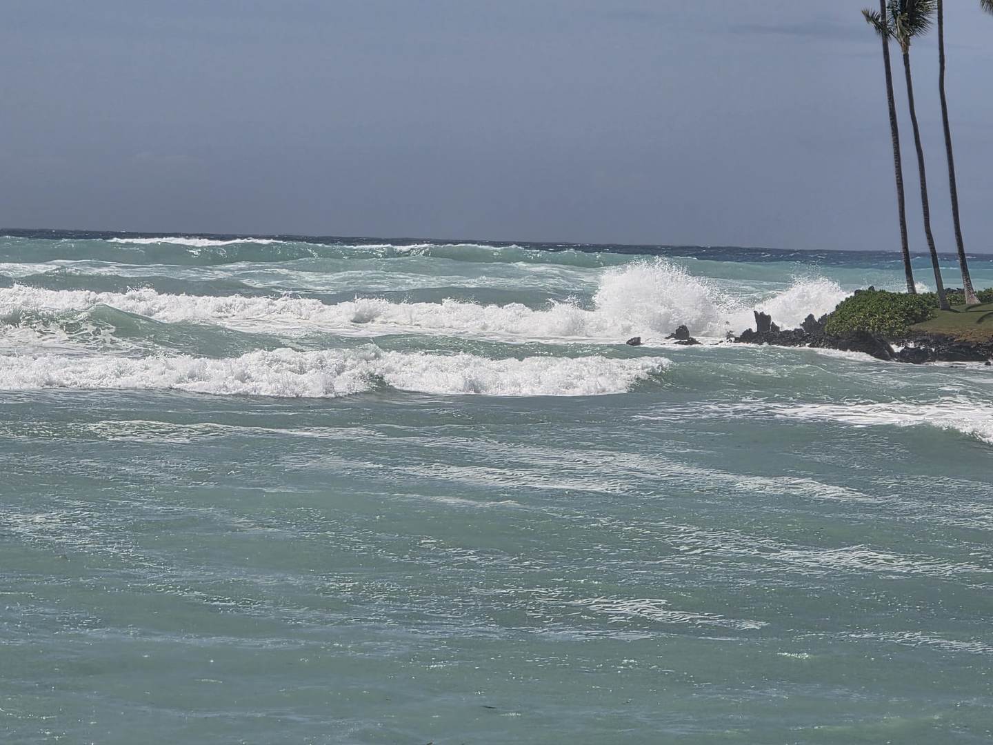 A set wave breaking off the South Kohala coast with palms in the foreground